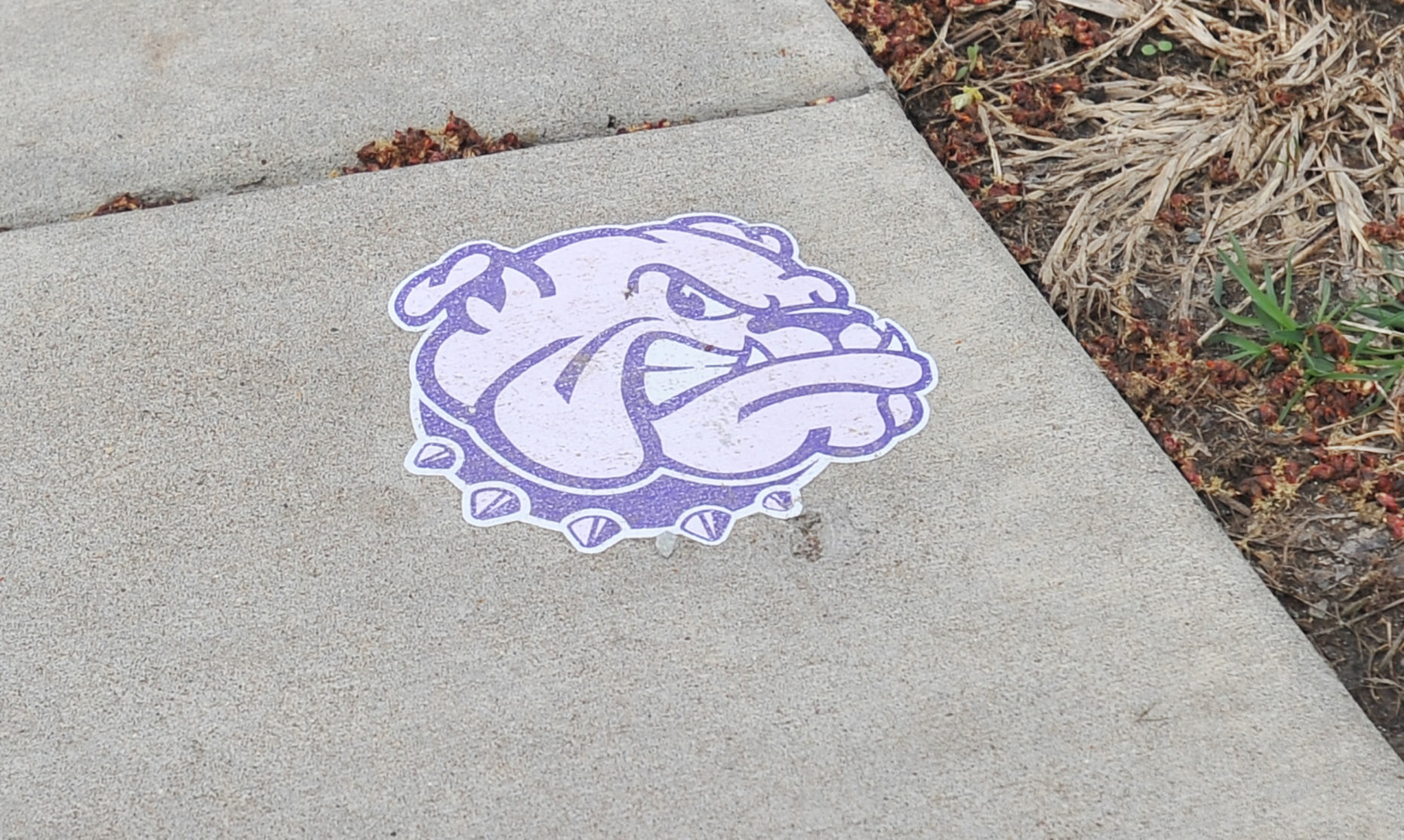 042119-qct-big-story-wiu-024a.JPG